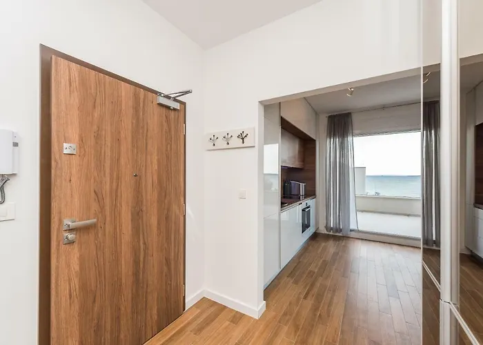 公寓 Luxury Penthouse